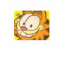 Garfield Grin, women's shirt