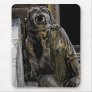 Gargoyle (2) mousepad