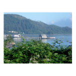Garibaldi