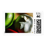 Garlic Bulbs Postage