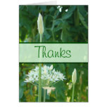 Garlic Chives Banner card-customize any occasion
