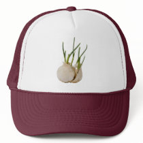 garlic hats