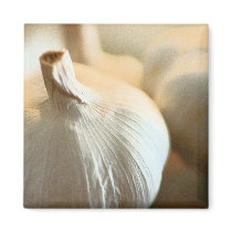 Garlic Magnet by DiEtte Garlic Magnet
