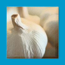 Garlic Magnet