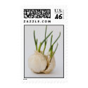 garlic postage by VioDePhoto garlic postage