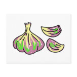 garlic postcard