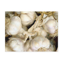 Garlic postcards