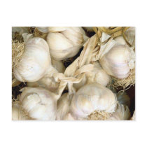 Garlic postcards