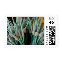 Garlic scapes postage