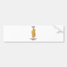 Garlic The Unforgettable Vegetable Bumper Sticker
