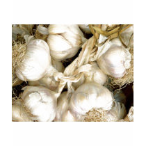 Garlic t-shirts by Recipes101 Garlic t-shirts
