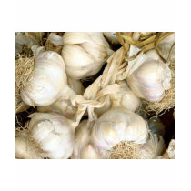Garlic t-shirts by Recipes101 Garlic t-shirts