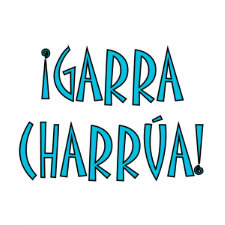 Hispanic T-Shirts