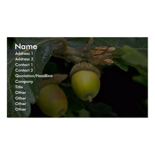 Gary oak tree fruit (quercus garryana) business card