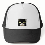 Gary the Cat hats