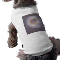 Gasoline Sun pet clothing