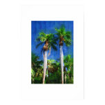 Gastrococo crispa  palm tree, Oil painting