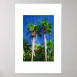 Gastrococo crispa  palm tree, Oil painting Posters