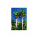 Gastrococo crispa palm tree, Oil painting posters by palmimages Gastrococo crispa palm tree, Oil painting posters