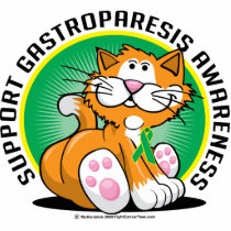 Gastroparesis Cat photo sculptures by fightcancertees Gastroparesis Cat photo sculptures