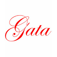 Gata shirt