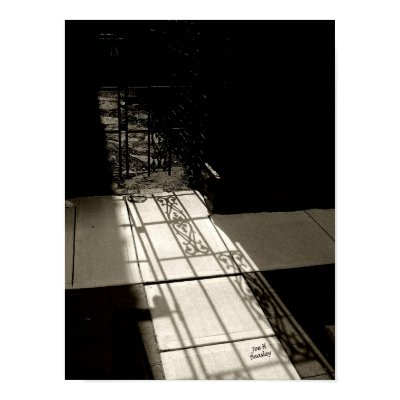 Gate Shadow Posters by bhbphotos