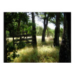 "Gate to Nowhere" Print