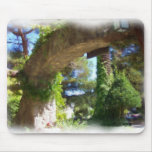 gateway, mouse, pad
