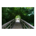 "Gateway to Muir Beach" posters