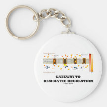 Gateway To Osmolytic Regulation (Active Transport) Key Chain