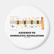 Gateway To Osmolytic Regulation (Active Transport) Refrigerator Magnets