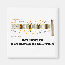 Gateway To Osmolytic Regulation (Active Transport) Refrigerator Magnets