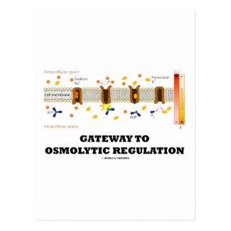 Gateway To Osmolytic Regulation (Active Transport) Post Cards