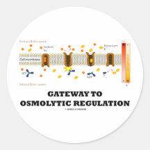 Gateway To Osmolytic Regulation (Active Transport) Sticker