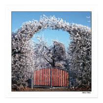 Gateway to Winter Wonderland posters
