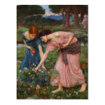 Gather Ye Rosebuds by John W. Waterhouse Postcard