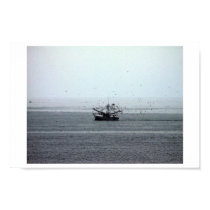 Gathering Gulls posters