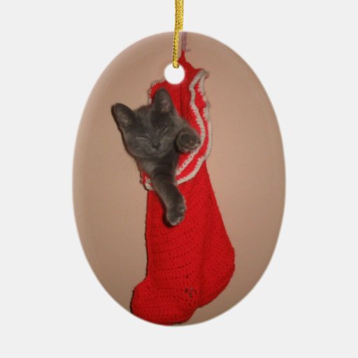 Gatito en un ornamento de la media ornatos