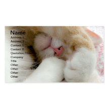 Gatito soñoliento plantilla de tarjeta de negocio