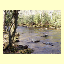 Gatlinburg mountain stream posters