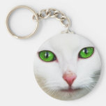 Gato con llavero de los ojos verdes