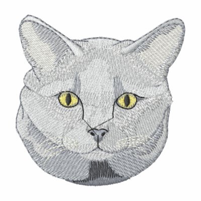Gato de Chartreux Gato de Chartreux
