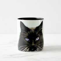 Gato de ojos azules tazas