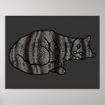 Gato del camaleón poster