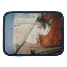 Gato el dormir planificadores