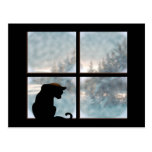 gato en ventana tarjeta postal