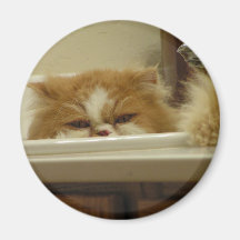 Gato persa blanco rojo imán para frigorifico