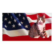 Gato toda la tarjeta de visita americana