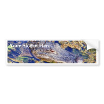 Gator Aligators Swamps bumper stickers by lifesphere Gator Aligators Swamps bumper stickers