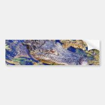 Gator Aligators Swamps Bumper Sticker